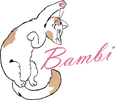 caramelabambi - Home